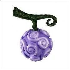 Quel est le nom du fruit du démon le plus fort ?