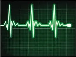 Quels sont les éléments qui agissent sur le rythme cardiaque ?