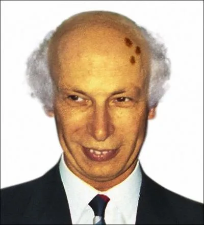 Vu qu'il est jaune, il me fait penser à...