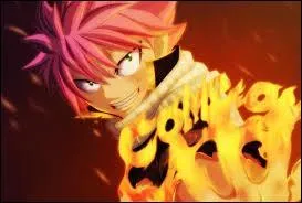 Quel est le nom de Natsu ?