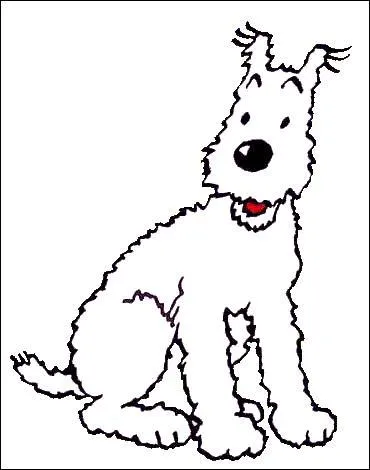 Quel est le nom du chien de Tintin ?