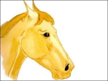 Comment est ce cheval ?