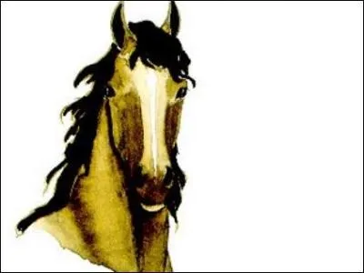 Comment est ce cheval ?