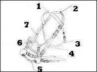 A quoi correspond le N°7 ?