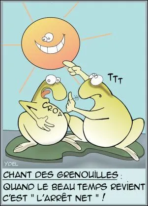 Trouve le nom de l'animal, grâce à l'image !