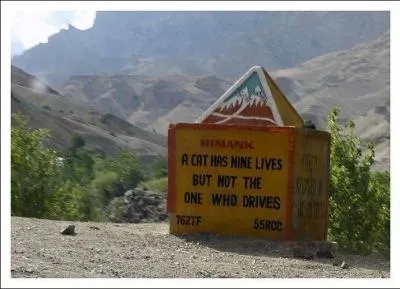 Dans ce pays, les chats ont neuf vies, ils sont 'intouchables', mais pas celui qui conduit. Où sommes-nous donc ?