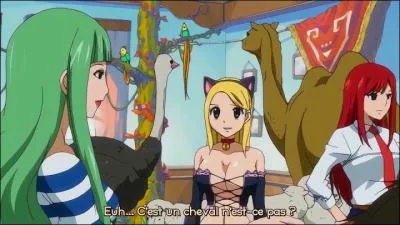 A quoi ressemble la chambre de Biska ?