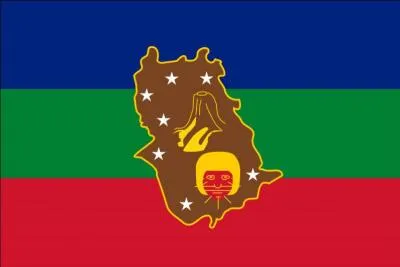 Quelle est la capitale de l'État d'Amazonas ?