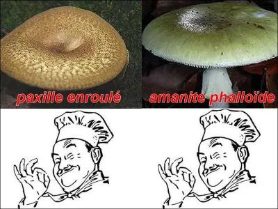 La photo est-elle exacte ?