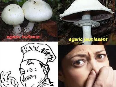 La photo est-elle exacte ?