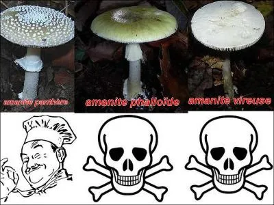 La photo est-elle exacte ?