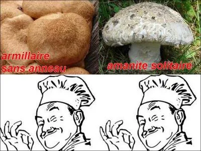 La photo est-elle exacte ?