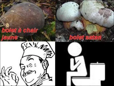 La photo est-elle exacte ?