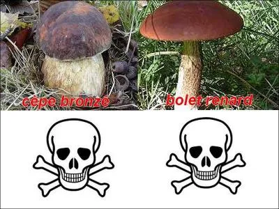 La photo est-elle exacte ?