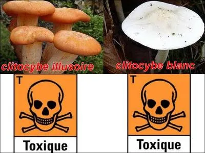 La photo est-elle exacte ?