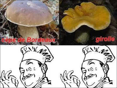 La photo est-elle exacte ?