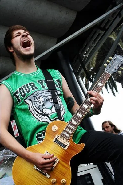 Qui sont les guitaristes ?