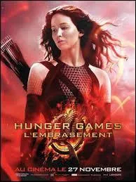Quelle est la couleur préférée de Katniss ?