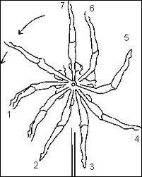 Un élément sublime mais extrêmement difficile, comment s'appelle-t-il ?