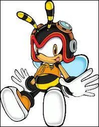 Qui est cette abeille qui travaille dans l'agence de Chaotix ?