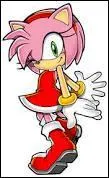 Qui est cette rose qui aime tant Sonic the Hedgehog ?