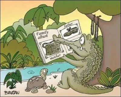Que faites-vous si vous rencontrez un crocodile ?
