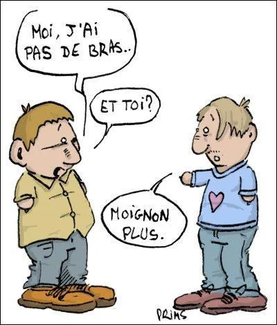 Qu'est-ce qu'un moignon ?