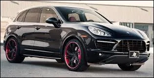 Combien y a-t-il de chevaux dans cette Porsche ?