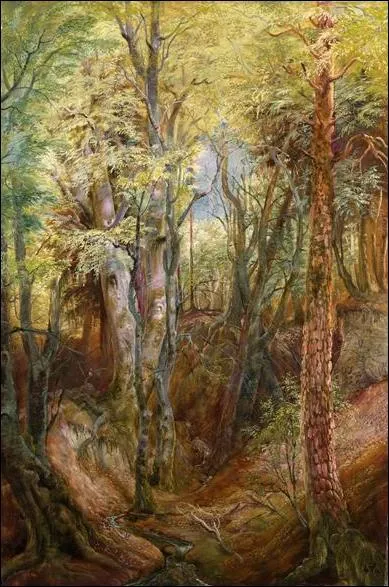 Qui a peint Gorge dans une forêt ?