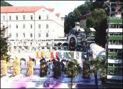 La finale 1993 se tient  Karlovy Vary. Quel est le nom allemand de cette ville thermale de Rpublique tchque ?