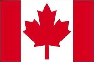 À quel pays appartient ce drapeau ?