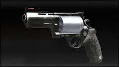 Quelle est cette arme ?