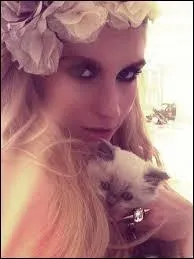 Quel est son genre musical ?