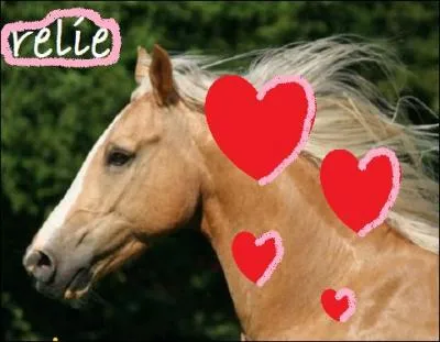 De quelle robe s'agit-il ?