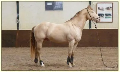 De quelle robe s'agit-il ?