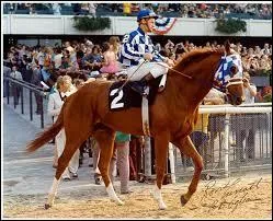 Quel cheval est-il ?