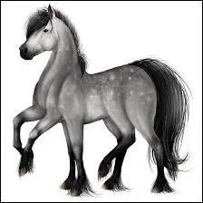 Quel cheval est-il ?