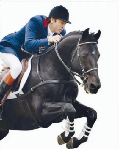 Quel cheval est-il ?