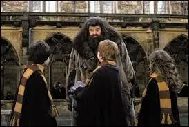 Finissons en grand et c'est le cas de le dire. Quelle est la particularité du sorcier Hagrid ?