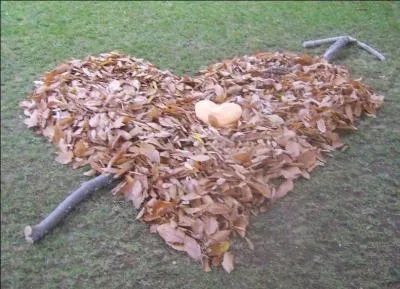 Et chaque fois les feuilles mortes- Te rappellent à mon souvenir - Jour après jour les amours mortes - N'en finissent pas de mourir. Qui a écrit ces paroles tirées d'une chanson ?