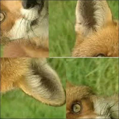 Qu'est-ce que c'est ?