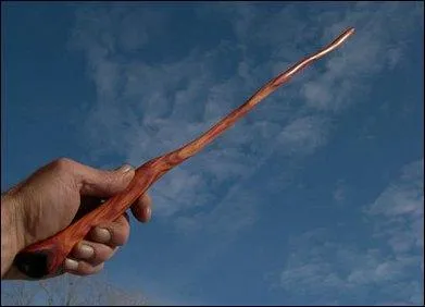 Durant plusieurs années, elle nous a mené à la baguette ... magique, trouvez ses initiales !