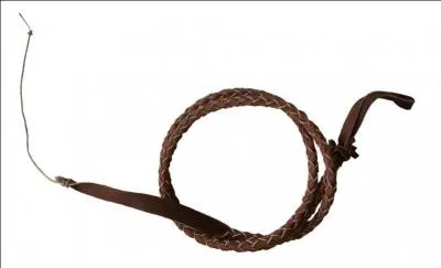 Avec lui, ça fouettait grave, trouvez son diminutif !