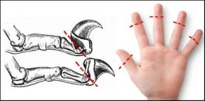 Méfiez-vous, ses pouvoirs laissent des traces saignantes !