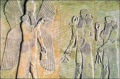 Les traces, les plus anciennes datées où l'on constate sont utilisation visant à supprimer la douleur se retrouve dans la civilisation sumérienne : quelle est cette plante ?