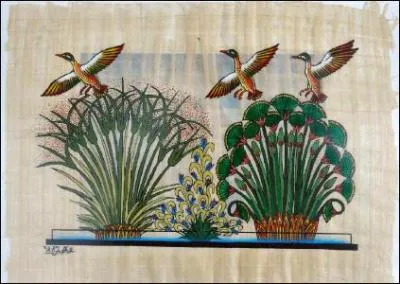 Quelle est cette plante qui faisait partie du mythe égyptien de la création du monde ?