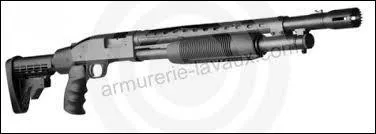 Quelle est cette arme ?