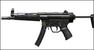 Quelle est cette arme ?