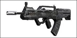 Quelle est cette arme ?