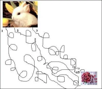 Quel chemin le lapin doit-il prendre pour rejoindre son panier de cerises ?